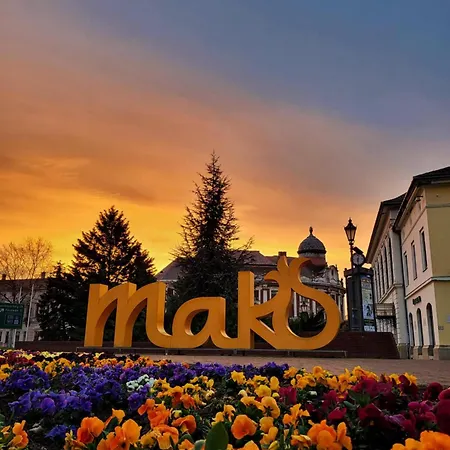 Apartament Pipacs Makó